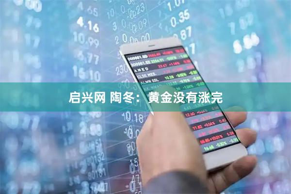 启兴网 陶冬：黄金没有涨完