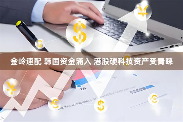 金岭速配 韩国资金涌入 港股硬科技资产受青睐